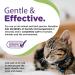 RenaSan Animal First Aid Spray (100ml) - Veterinary-Grade Skin Protection for Dogs, Cats & More - Fights Infection, Kills Bacteria, Stops Itching - Alcohol-Free & Non-Irritating - Buy Online on SooperMarket.com