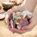 Weoxpr 200pcs Assorted Sea Shells for Fish Tank, Home Decor, Beach Theme Party, Candle Making, Wedding Decor - Natural Ocean Beach Seashells in Various Sizes for DIY Crafts - Buy Online on SooperMarket.com