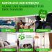 Golden Bull Upholstery Cleaner - Vegan Chemical-Free Stain Remover for Sofa & Auto - 500ml Natural Upholstered Furniture & Car Seat Cleaner - Buy Online on SooperMarket.com
