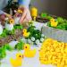 100Pcs Mini Resin Ducks Realistic Micro Landscape Ornament | Cute Baby Bath Toy | Aquarium & Dollhouse Decor - Yellow - Buy Online on SooperMarket.com