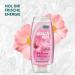 Duschda Wild Rose Melisse Shower Gel - 225ml (6 Pack) | Refreshing Fragrance for a Pampering Start - Buy Online on SooperMarket.com