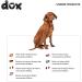 Buy DDOXX Black Dog Leash - Reflective Nylon Bite-Proof 4M Up to 10kg - Stable Roller Break & Lock System | International Shipping - Buy Online on SooperMarket.com