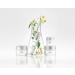 BareMinerals Ageless Phyto-Retinol Eye Cream Fair 15 Cool 8.0g - Anti-Aging Skincare - Buy Online on SooperMarket.com
