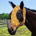Harrison Howard Super Comfort Stretchy Fly Mask - Large Eye Space UV Protection Ethnic Style Yellow - Perfect for Horses - Buy Online on SooperMarket.com
