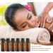Alledomain 6Pcs 20ml Amber Glass Essential Oils Bottles with Black Cap/Dropper/Label Empty Bottle Refillable Sample Container for Massage oil/Aromatherapy/Perfume/Fragrance Carrier Oil 6pcs * 20ml - Buy Online on SooperMarket.com