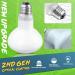 LUCKY HERP Reptile Heat Lamp 75W 2 Pack UVA Reptile Heat Lamp Bulb Amphibian Basking Spot Light Bulb Reptile Daylight Bulb for Turtle Bearded Dragon Lizard Heating Use 75W(2 Pack) - Buy Online on SooperMarket.com