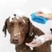 CHOOSEEN Large Dog Paw Cleaner - 2 in 1 Grooming Supplies for Paw Washing (No.D941034) - Buy Online on SooperMarket.com