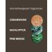 ManCave Cedarwood Shower Gel 500ml - Fresh Wood Aroma, Natural Formula, Vegan & Eco-Friendly, Made in England - 1 Pack - Buy Online on SooperMarket.com