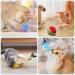 Yutuy Cat Toys Set with 36 PCs - Interactive Cat Tunnel Spring Toys Mice & Fish - Ultimate Fun for Kittens & Cats - Buy Online on SooperMarket.com