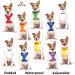 NERVOUS FriendlyDogCollars Colour Coded Dog Accident Prevention Leads 1.2m Prevents Dog Accidents By Letting Others Know Your Dog In Advance Award Winning NERVOUS Yellow - Buy Online on SooperMarket.com