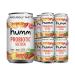 Humm Sparking Probiotic Peach Seltzer - Zero Sugar, Zero Calorie, 2 Billion Probiotics - Vitamin C,D, and B12 - 12 fl oz (12 Pack) Peach 12 Fl Oz (Pack of 12)