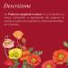 L'Erbolario Sweet Poppy - Notes Of Mandarin Orange Red Poppy And Amber - Floral Fragrance For Women - Evanescent Sweet Scent - Evokes Romance And Mystery - Long Lasting - 1.6 Oz EDP Spray Sweet Poppy 1.6 Ounce (Pack of 1) - Buy Online on SooperMarket.com