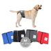 Nature PET Dog Financial Pants for Bitches (M -gray) - dog diaper for male - no annoying threading of the rod - incontinence dog pockets - without network M gray