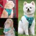 Fineasy Cat Dishes with Adjustable Leash - Outbreak-Proof Harness & Soft Cat Kitten Dog Breastware (Green S) | Shop Internationally - Buy Online on SooperMarket.com