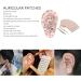 Buy Acupuncture Ear Seeds & Stickers - 600 Roll Silicone Model Telescopic Probe | Fast International Shipping - Buy Online on SooperMarket.com