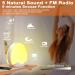 Light Alarm Clock with Sunrise Simulation - Daylight Alarm Clock Radio 5 Natural Sounds 12 Color Options 20 Brightness Levels Dual Alarms Snooze - Perfect Bedside Lamp for Kids & Adults - Buy Online on SooperMarket.com
