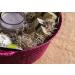 Preserved Natural Spanish Moss - 8oz (200 cubic inches) Bag - Buy Online on SooperMarket.com