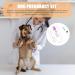 GANAZONO Pet Dog Pregnancy Pregnant Test Paper Strip Fast and Accurate Detection Pet Dog Pregnancy Test Card Dog Pregnant Test - Buy Online on SooperMarket.com