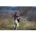 Northern Howl X-Back Dog Harness - XL Red for Canicross Bikejoring Skijoring & Dogscooting - International Shipping Available - Buy Online on SooperMarket.com