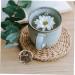 Warmhm 10pcs Chinese Flower Tea Green Tea with Flowers Wrapped Blooming Tea Flowering Tea Artistic Tea Organic Blooming Flower Tea Gold Tea Ball As Shown medium - Buy Online on SooperMarket.com