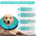 MUKSIRON Inflatable Dog Cone Collar | Adjustable Recovery Collar for Dogs & Cats | Prevent Biting & Scratching | Green-Blue | Large Size - Buy Online on SooperMarket.com