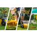Garland Roll&Comb 302E -110v Electric Power Broom/Sweeper for Artificial Grass - Buy Online on SooperMarket.com