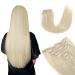 Vlasy Clip in Hair Extensions Human Hair 7 Pieces Grey4 Clip in Hair Extensions Real Human Hair Seamless Straight Natural Thick Weft Human Hair Clip in Extensions for Women Grey4# 14 Inch(70 g) 14 Inch (70 g) Grey4#