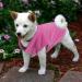 Pink Dog Fleece Vest with Turtleneck for Small Medium Dogs - Winter Jacket with Leash Hole - Buy Online on SooperMarket.com