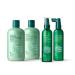 Thicker Fuller Hair Nourishing Scalp Tonic - Green, 4 fl oz (Pack of 1) - Buy Online on SooperMarket.com