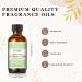 EUQEE Green Apple Fragrance Oil 60ml - Premium Grade Aromatherapy Essential Oil for Diffusers and DIY Candle Making - Buy Online on SooperMarket.com
