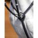 LeMieux Breastplate with Detachable Martingale Black Cob - Buy Online on SooperMarket.com