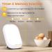 LASTAR Sun Light 10 000 LUX UV-Free Daylight Lamp with Memory Function 5 Adjustable Brightness Levels and 4 Timer Funtion Sunlight Lamp Compact Size for Winter Blues Wall Mountable Support Smart Plug Light White - Buy Online on SooperMarket.com