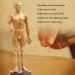 Human Acupuncture Template 50 cm Human Meridian Chinese Medicine Acupuncture Point Medicine Acupuncture Point Model Hand Rotate Anatomy Model - Buy Online on SooperMarket.com