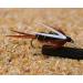 Mustad Signature Fly Hooks Nymph Fly Assortment - 57 Fishing Flies in Various Sizes - Buy Online on SooperMarket.com
