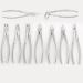 Stainless Steel Tooth Extraction Forceps Set - 10pcs Dental Extraction Tools for Dentists - Premium Instrument Kit for Effective Tooth Removal - Buy Online on SooperMarket.com