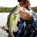 THKFISH Pre-Rigged Texas Bass Fishing Leaders with Weights, Hooks, and Line Kit (5PCS Sinker, 1/4 oz, 1/0# Hooks) - Buy Online on SooperMarket.com