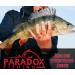 Paradox Fishing Triple Vertebrae Sets - 45 Piece Fishing Accessories (#20 to #10) for Optimal Angling - Buy Online on SooperMarket.com