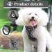 Fineasy Adjustable Cat Leash & Dish Set - Safe Cat Harness for Cats & Kittens - Grey Small - Buy Online on SooperMarket.com