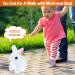 ZBATHTOY Interactive Rabbit Toy for 1-6 Year Old Boys and Girls | Birthday Gift for Toddlers | Educational Pet Toy for Kids Age 6M - Buy Online on SooperMarket.com