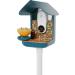Bird Buddy Original 3-in-1 Feeding Set | Water Fountain Fruit Skewer & Jelly Tray - Blue Color | International Shipping - Buy Online on SooperMarket.com