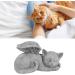 Qcwwy Pet Memorial Statue | Angel Cat Grave Marker | Resin Sleeping Pet Angel Sculpture | Tribute Ornament for Pet Memorials - Buy Online on SooperMarket.com