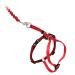 PetSafe Come with Me Kitty Harness and Bungee Leash Harness for Cats Small Red/Cranberry RED/CRANBERRY Small