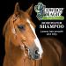 Cowboy Magic Rose Water Shampoo 32oz - Gentle Cleansing for Soft & Shiny Hair - Buy Online on SooperMarket.com