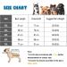 BT Bear Dog Raincoat with Legs Transparent Four-legs Large Dog Raincoats Waterproof with Reflective Strips & Hood Jumpsuit for Medium Dogs Large Dogs (7XL) - Buy Online on SooperMarket.com