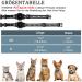 JiaraRui Reflective AirTag Cat Neck Band - Adjustable GPS Collar for Cats & Puppies - Black 7-9 inch - Buy Online on SooperMarket.com