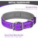 Joytale Softly Padded Neoprene Dog Collar for Large Dogs - Reflective Nylon Purple - 1 Pack - Buy Online on SooperMarket.com