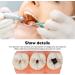 4-Fold Dental Caries Model - Synthetic Resin Oral Care Training Tool for Students | Safe & Realistic Simulation - Buy Online on SooperMarket.com