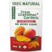 Dried Mango - From Grandmas Gardens | 1 x 100g | Healthy Vegan Snack | 100% Natural | No Added Sugar | Rich in Vitamins | No Preservatives | GMO free Mango 1 pack