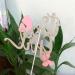 Double Sided Rose Gold 'It's A Girl' with Butterfly Cake Topper - Pink Baby Shower Decor - Buy Online on SooperMarket.com