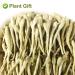 Buy 100% Natural Plant Poison Honeysuckle Tea - 40g Loose Herbal Tea Dried Flowers - Giesel Shit Wild Lonice Japonica - Buy Online on SooperMarket.com